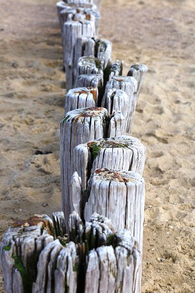 Côte de la mer du Nord en Hollande par Thomas Jäger