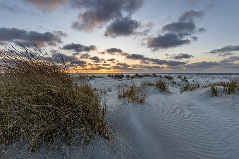 Ameland Dünen von Marco Linssen