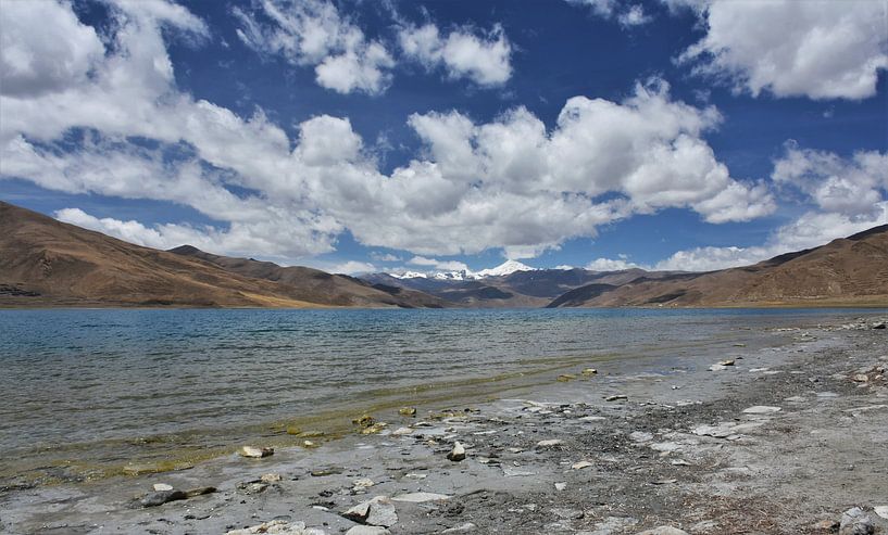 Yamdrok See von Esther van der Linden