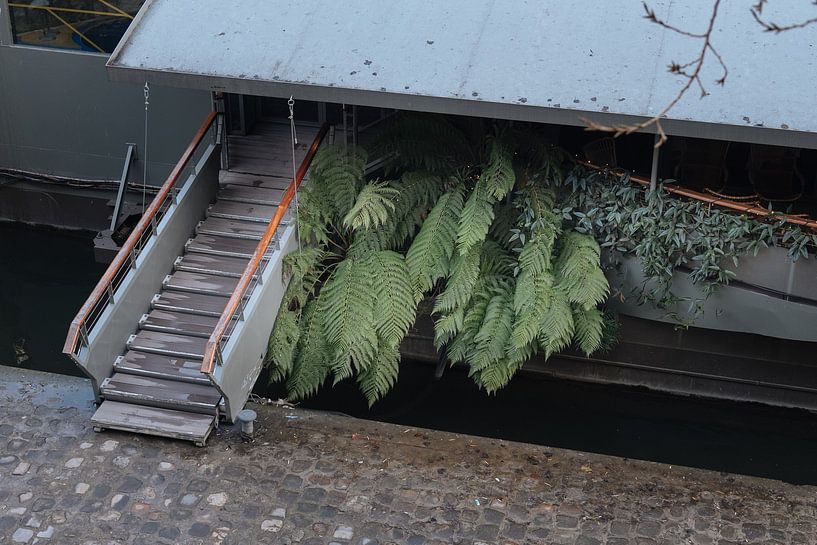 Grünes Paris von Karlijne Geudens