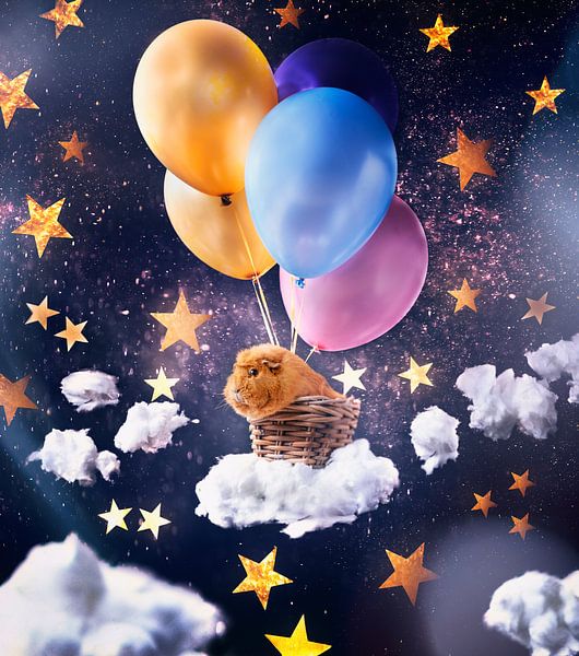 Ballon de cochon d'Inde par Marloes van Antwerpen