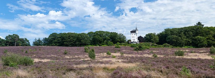 Sallandse Heuvelrug National Park Netherlands by Richard Wareham