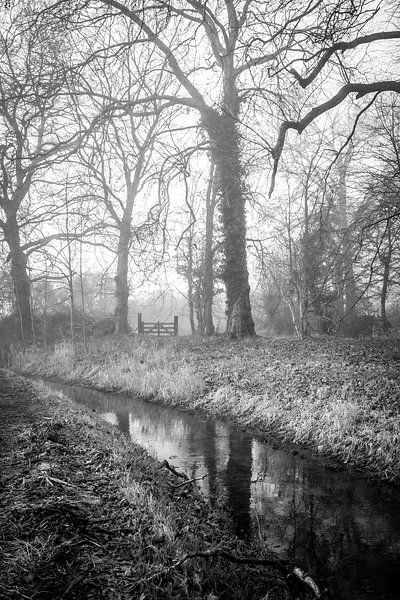 A l'intérieur par Hans Monasso