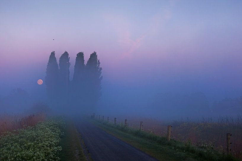Der Mond geht in Groningen unter von Titus van 't Veer