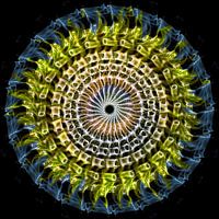 Smoke Art - Zonnebloem - Wiel van rookpluimen III