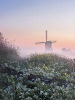 Spring at the Broekmolen