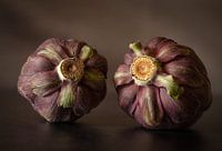 Two purple artichokes