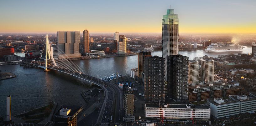 Entdecken Sie die Schönheit von Rotterdam auf einem Foto von Roy Poots