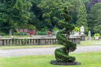 Koaxiale konische und spiralförmige Kiefer