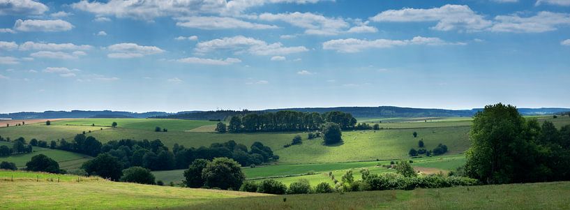 landscape with cows in the Belgian Ardennes at stavelot and trois ponts by anton havelaar
