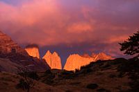 Bonjour Torres del Paine !