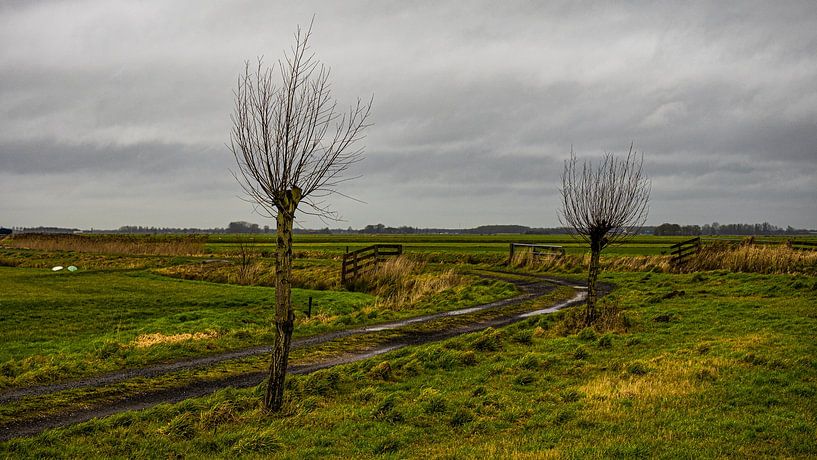 Polderansicht mit Bäumen von Dirk van der Plas