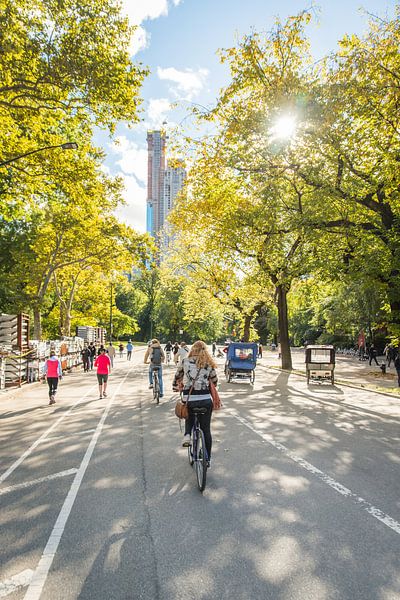 Sunny Central Park mit dem Fahrrad von Bas de Glopper