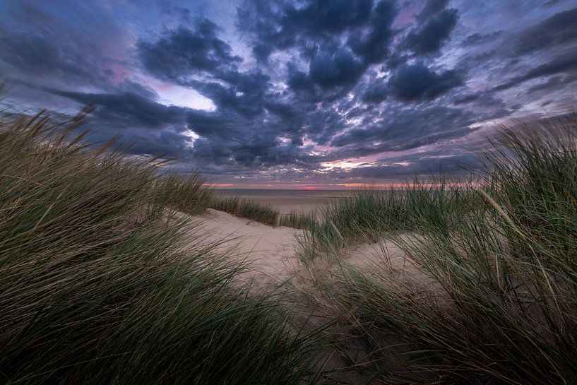 Dunes de Texel par Andy Luberti