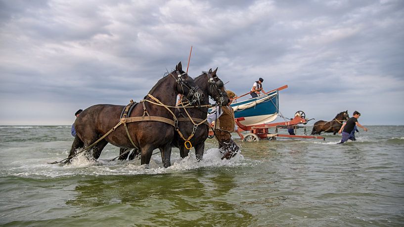 Roeireddingboot Terschelling par Roel Ovinge