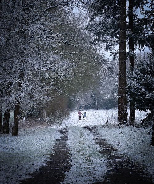 winter wonderland by Ruben van de Zande
