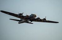 B-17 Flying Fortress "Sally B'