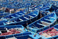 Bootjes in haven Essaouira, Marokko