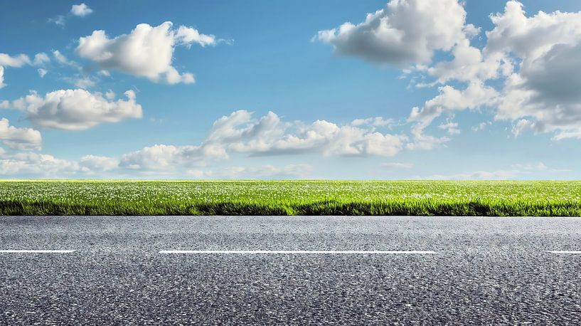 Route solitaire à travers un champ vert par Frank Heinz