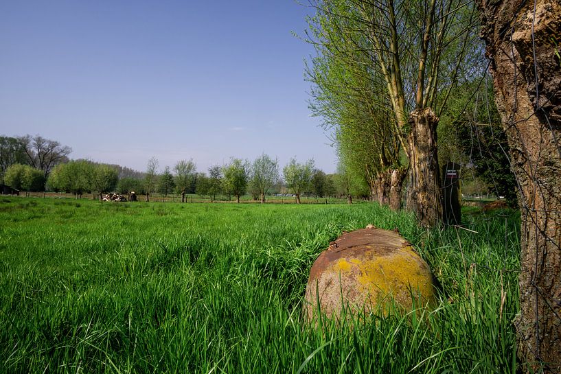 Badewanne auf einem Feld im Frühling von Mickéle Godderis