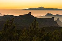 This picture clearly shows the famous Roque Nublo and the silhouette of the Teide on Tenerife in the background - an iconic motif!