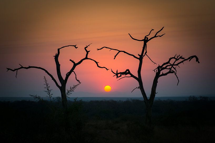 Sunset in South Africa by Ruud Bakker