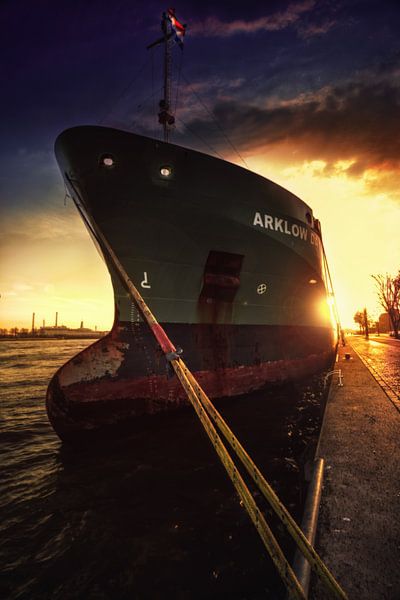 Das Schiff Arklow mit der Sonne im Rücken im Hafen von Rotterdam in den Niederlanden von Bart Ros