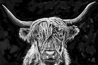 Schottischer Highlander