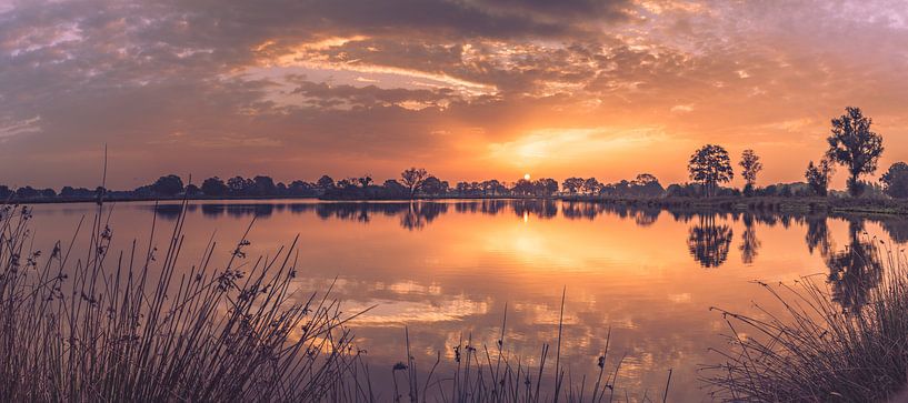 Dakhors de l'aire naturelle par Göran Dekker