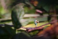 Miniature adventure