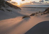 Dunes in evening light
