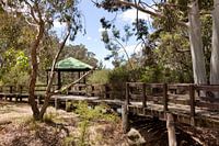Oude houten brug in het bos