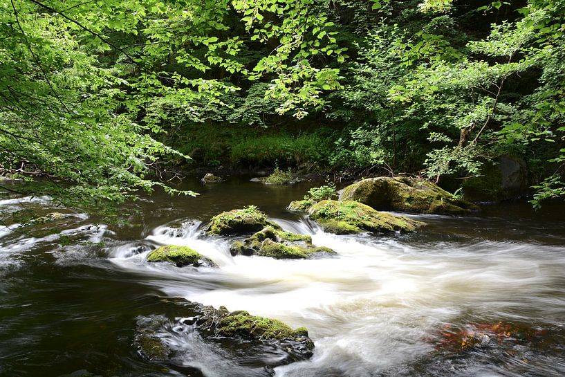 La rivière Bode près de Thale dans le Harz par Heiko Kueverling