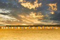 Chalets de plage sur la côte zélandaise