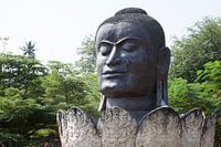 Buddha head in Flower