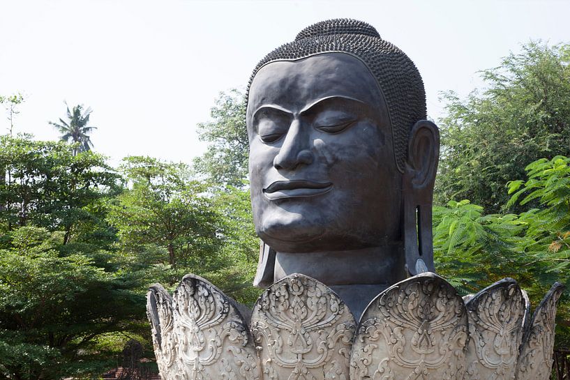Buddha head in Flower by Hans van Luijk