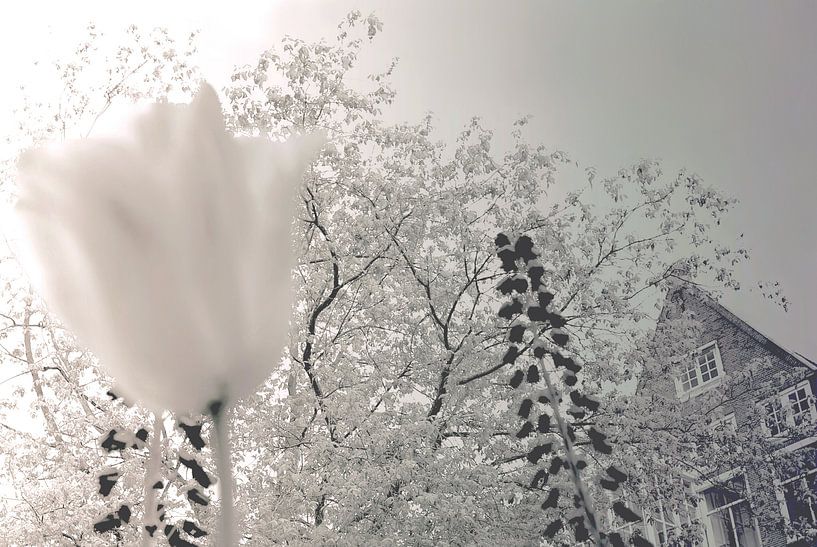 Jardin avec tulipe par Marianna Pobedimova