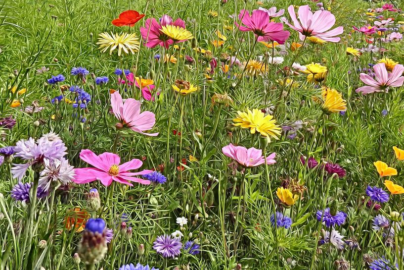 flowerbed by Joke te Grotenhuis