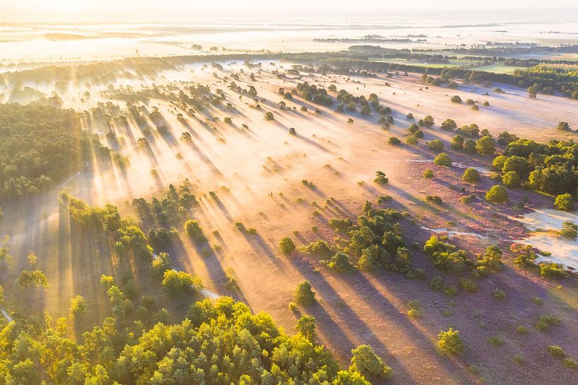 Sunrise over the Drouwenerzand by Droninger