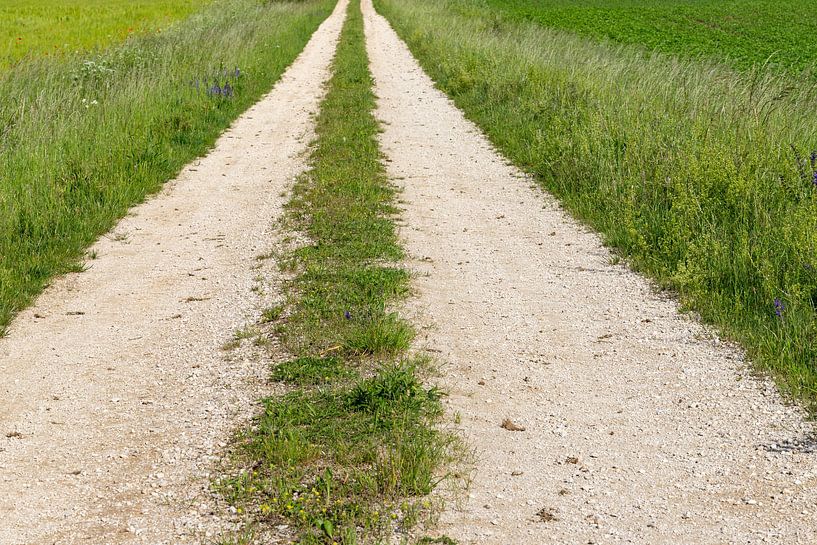 Recht grindpad in Duitsland van de-nue-pic