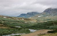 Landschaft Norwegen Dovrefjell