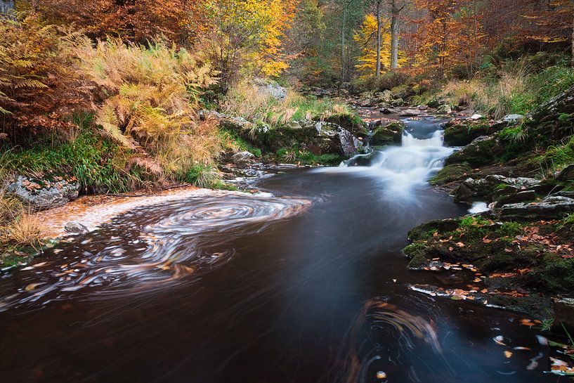 colourfull Hoegne von Francois Debets