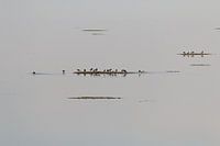 Das Wattenmeer bei Ameland