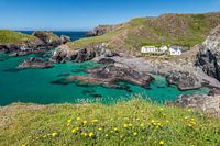 Strandcafé in Kynance Cove, Helston, Cornwall, Engeland
