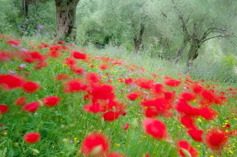 Monet was here von jowan iven