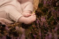 Niedliche Füße eines Neugeborenen im lila Heidekraut