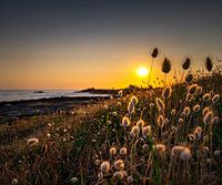 Sonnenuntergang an der französischen Küste