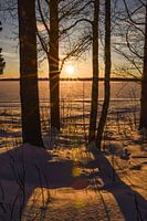 Where Soul Finds Solace