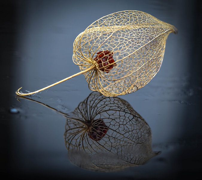 Reflexion von Anita van Gendt