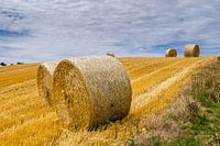 Heuwalzen auf einem Feld in Frankreich